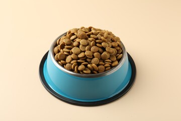 Dry pet food in feeding bowl on beige background
