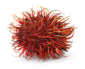 Fototapeta premium One whole rambutan isolated on white. Exotic fruit