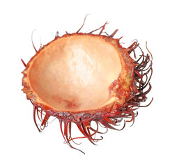 Shell of rambutan isolated on white. Exotic fruit