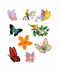 butterfly stickers 