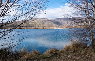 A blue lake surrounded by mountains and naked trees in New Zealand beautiful landscape