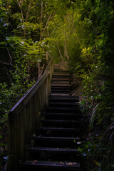 Fototapeta premium Stairway to tranquillity