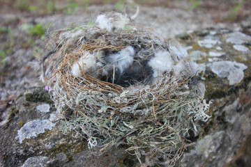 Views from the city Castelo Branco in Portugal, on May 11, 2024