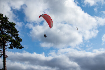 paragliding on the beach