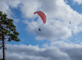 paragliding on the beach