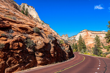 Looking down Zion Park Boulevard.