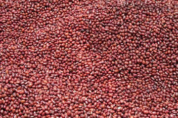 Adzuki beans background and texture