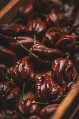 Close up of chocolate habanero peppers