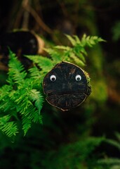 googly eyes on a branch