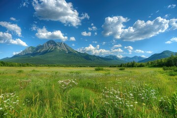 Fototapeta premium Panoramic natural landscape with green grass and mountains.