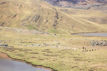 paisaje de los andes peruanos, lagunas, rocas, y cerros imponentes, apus