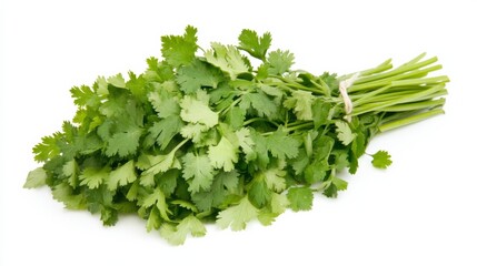 Fototapeta premium A fresh bunch of cilantro with its vibrant green leaves and pungent aroma, Each leaf’s sharp edges and distinctive flavor captured with precision