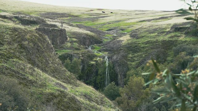 Ravine falls in green landscape with cattle 