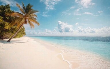 Tropical Beach with White Sand Turquoise Ocean Leaning Palm Tree Sunny Day Maldives Paradise