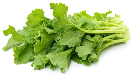 Fototapeta premium A fresh bunch of mustard greens with their vibrant green leaves and peppery taste, Each leaf’s bright color and subtle imperfections captured with precision