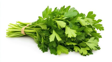 A fresh bunch of parsley with its vibrant green leaves and delicate stems, Each leaf’s bright green color and subtle imperfections captured with precision