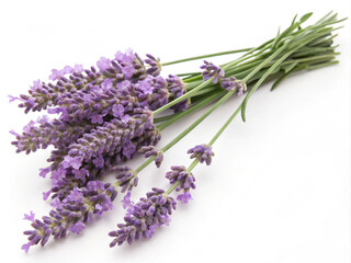 Naklejka premium bunch of lavender. lavender, flower, purple, plant, herb, bouquet, nature, flowers, bunch, aromatherapy, herbal, isolated, medicine, beauty, aromatic, lavandula, aroma, blossom, perfume, flora, spa, f