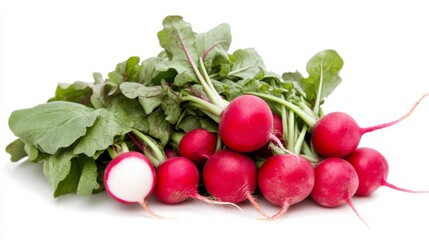 A fresh bunch of radishes with their vibrant red skin and crisp white flesh, Each radish’s bright color and subtle imperfections captured with precision