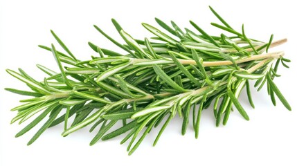 Fototapeta premium A fresh bunch of rosemary sprigs with their vibrant green needles and woody stems, Each sprig’s bright green color and subtle imperfections captured with precision