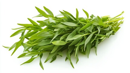 Fototapeta premium A fresh bunch of tarragon with its delicate green leaves and licorice-like aroma, Each leaf’s vibrant color and subtle imperfections captured with precision
