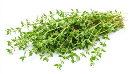 Obraz premium A fresh bunch of thyme sprigs with their small green leaves and delicate stems, Each sprig’s vibrant green color and subtle imperfections captured with precision