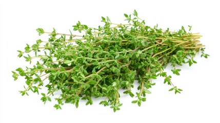 Obraz premium A fresh bunch of thyme with its tiny green leaves and earthy aroma, Each leaf’s bright color and subtle imperfections captured with precision