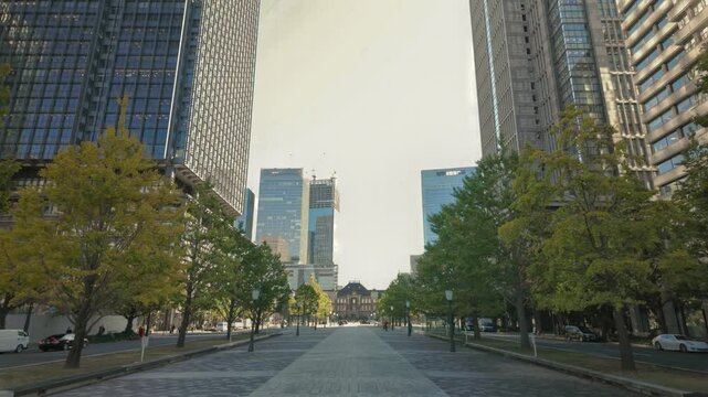 Tokyo,Japan - November 19,  2024: Gyoko dori avenue in Marunouchi, Tokyo, Japan 