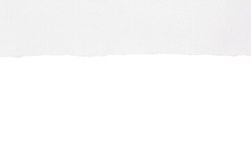 Torn white paper on a transparent background