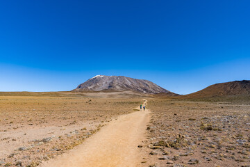 タンザニアのキリマンジャロ登山
