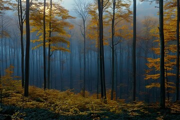A serene autumn forest scene showcasing tall, slender trees with golden leaves against a backdrop of mist, evoking a tranquil and mysterious atmosphere.