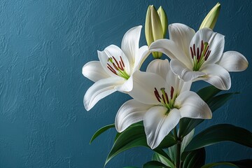 Fototapeta premium White lilies with green leaves on a blue background. Perfect for floral arrangements, greeting cards, or other designs.