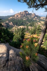 A vibrant close-up of blooming pine cones in the foreground, set against a backdrop of rocky hills and a lush forest under a clear blue sky.