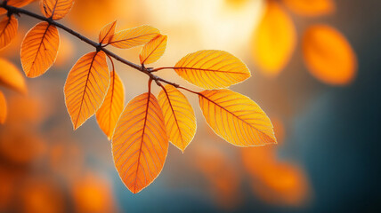 Fototapeta premium close up of orange fall leaves clinging to branches, showcasing their vibrant color and intricate details against blurred background. warm hues evoke sense of autumn beauty