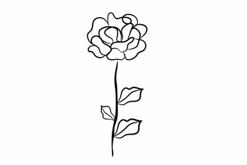 rose vector