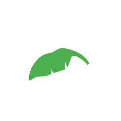 green banana leaf vector