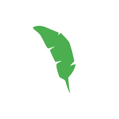 green banana leaf vector