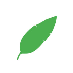 green banana leaf vector
