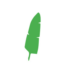 green banana leaf vector