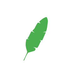 green banana leaf vector