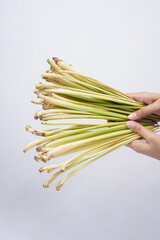 Hand holding lemongrass isolated on white background, high resolution photo.