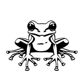 Coqui frog, Puerto Rican frog SVG, Caribbean coqui leaf frog