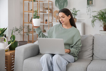 Fototapeta premium Beautiful young woman with modern laptop and houseplants sitting on sofa in living room