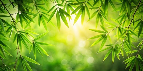 Vibrant Green Bamboo Leaves Illuminated by Sunlight in a Lush Natural Setting