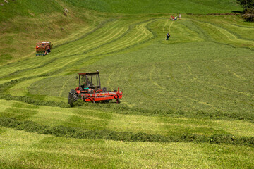 Fototapeta premium Tractor. Grass clippers. Lawn care. Mowing lawn. Grass Background. Lawn mower. Cut grass at field. Lawn equipment. Grass cutting tool.
