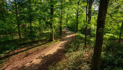 The winding trail leads to new horizons.  