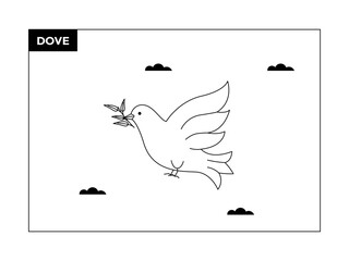 Dove bird. Birds illustrations. Flat vector illustrations.