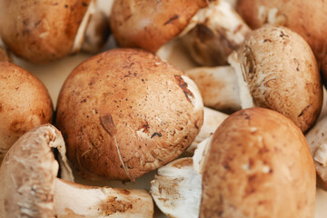 Fresh Brown Mushrooms beautifully showcased on a soft Beige Background for aesthetic appeal