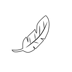 banana leaf outline art