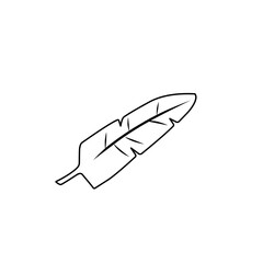 banana leaf outline art