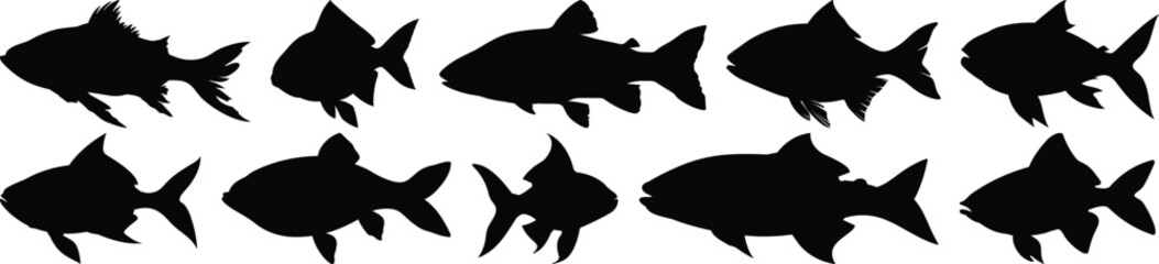 Fish silhouettes set, aquatic pack of vector silhouette design, isolated background